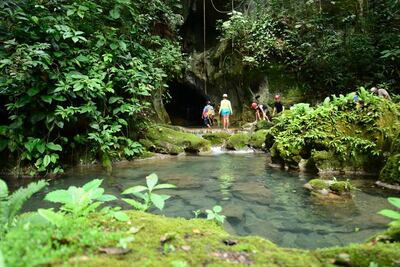 ¿Por qué la naturaleza nos hace bien a la salud?; esto dice la ciencia