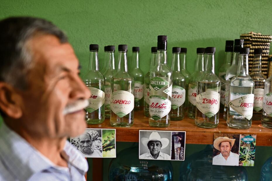 Cada año, la cooperativa de productores cosecha unos 100 mil litros de mezcal de alta calidad. Sus procesos son artesanales y naturales. Foto: Salvador Cisneros / El Universal
