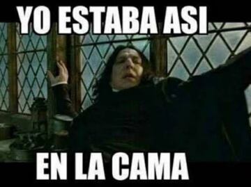 El hipopótamo Moo Deng, Lady Mangos y los microsismos en los memes de la semana