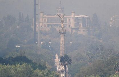 Advierten ONGs insuficiencia de autoridades para mejorar calidad del aire