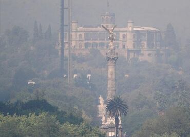 Advierten ONGs insuficiencia de autoridades para mejorar calidad del aire