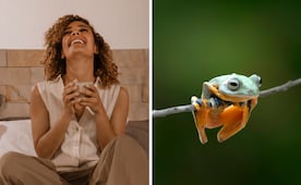 Efemérides del 20 de marzo; conoce qué se celebra este viernes