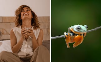 Efemérides del 20 de marzo; conoce qué se celebra este viernes