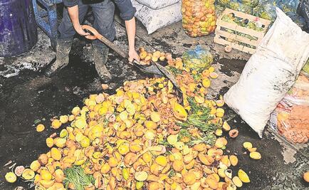 Transforman residuos orgánicos en nutrientes para cultivos urbanos