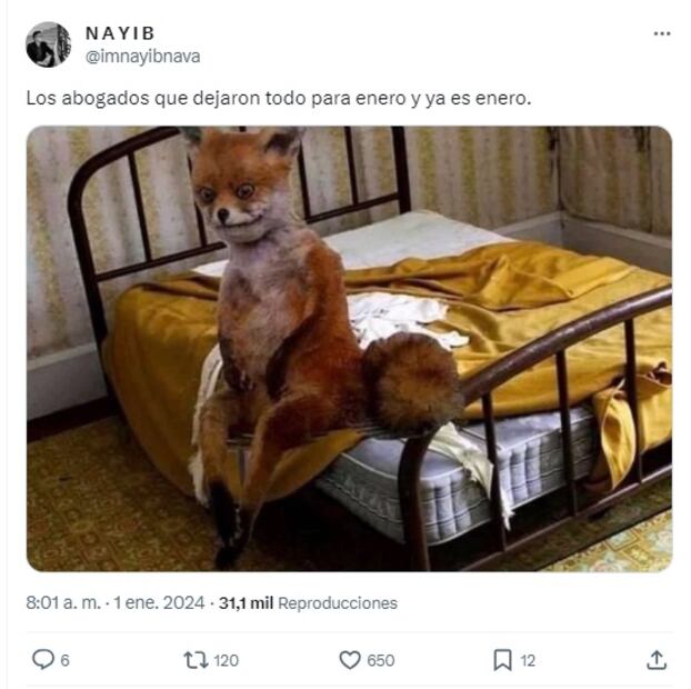 Meme enero