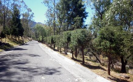 Alertan peligro de extinción de Sierra de Guadalupe