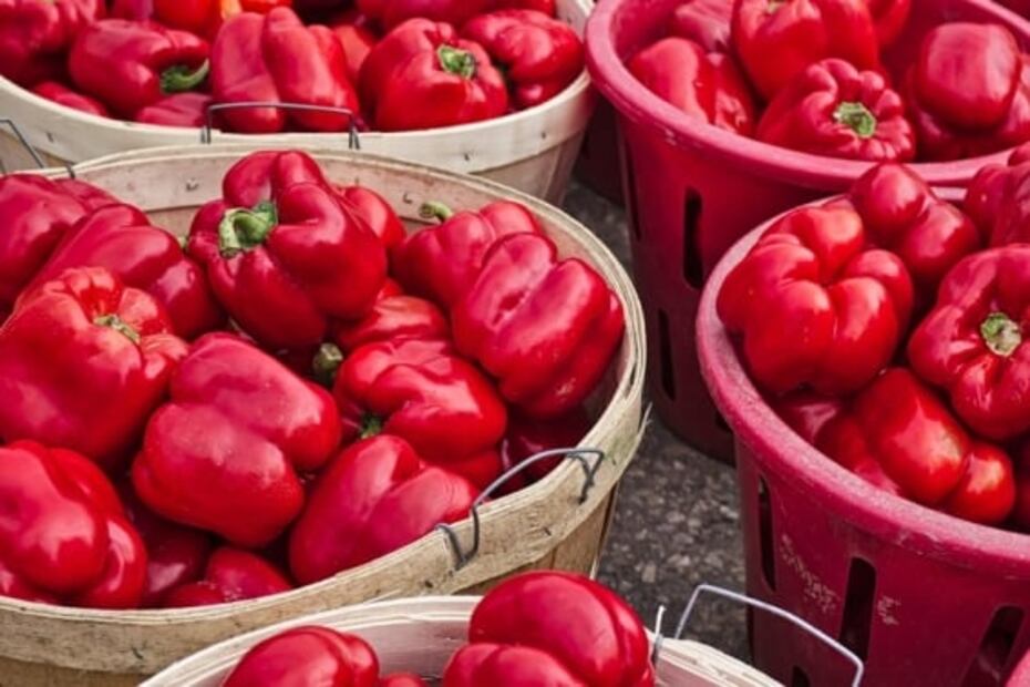 Frutas y verduras que te ayudarán con los efectos de la vacuna de Covid19