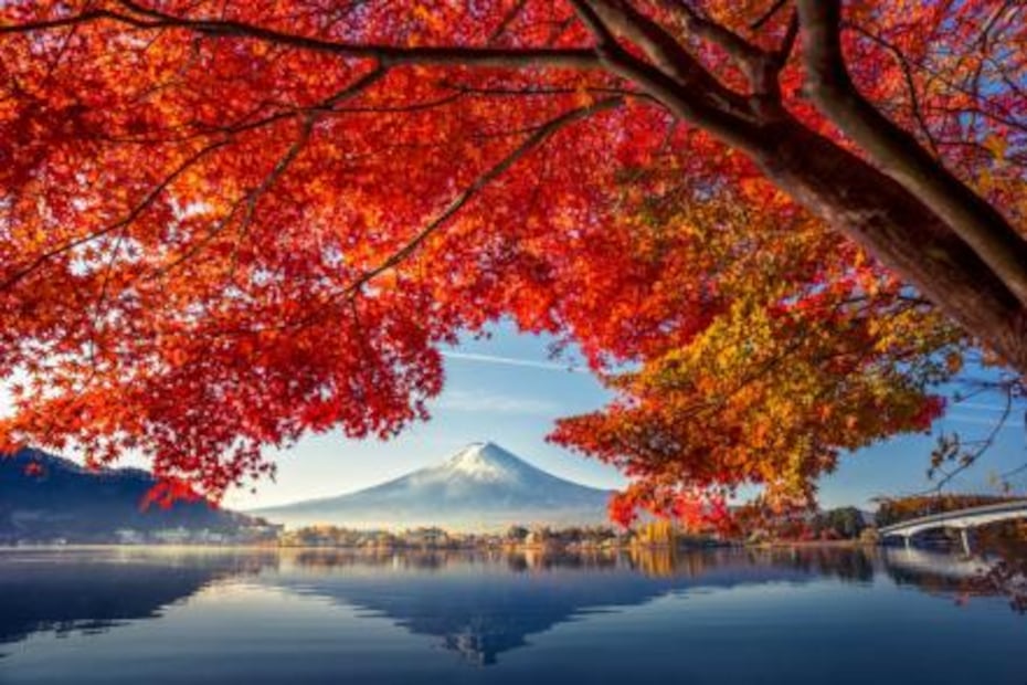 Razones por las que debes viajar a Japón