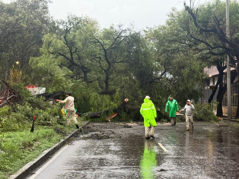 La SGIRPC actualizó la Alerta Amarilla por persistencia de lluvias fuertes y viento con rachas que podrían superar los 50 km/h en toda la CDMX. (Foto: espacial)