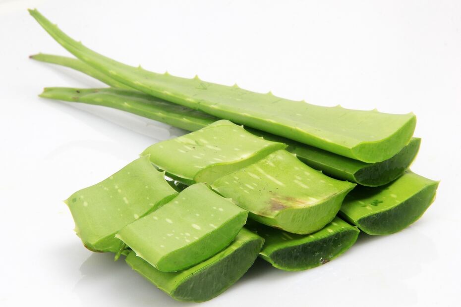 Colágeno y aloe vera. Fuente: Pixabay