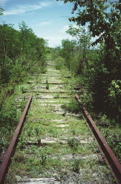 Los Olvidados. Poética de los Ferrocarriles