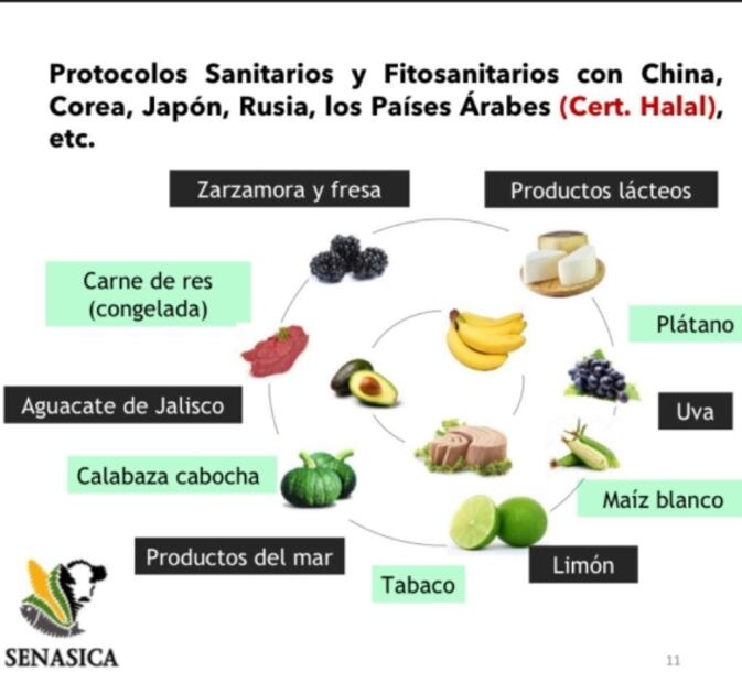Para aumentar producción y exportación agrícola, necesario más presupuesto a sanidad e inocuidad: CNA 
