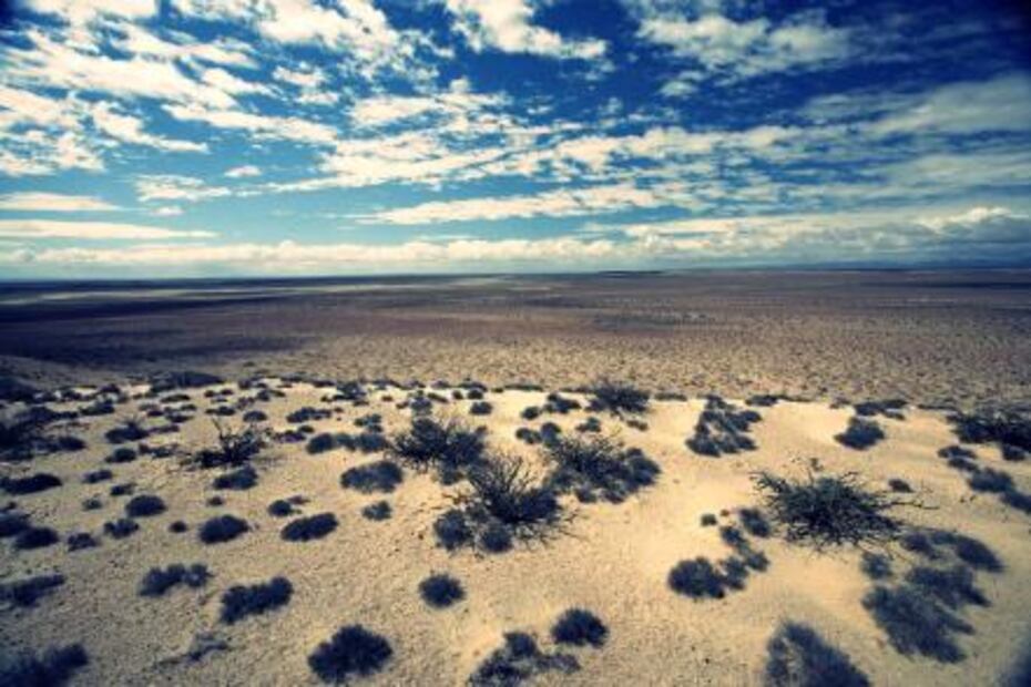 Los atractivos de la Reserva de la Biósfera El Vizcaíno que debes conocer