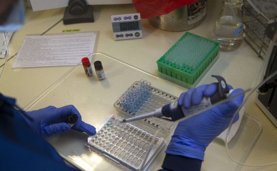 Convalescent plasma is obtained from patients who recovered from infectious diseases - Photo: Karen Ducey/AFP