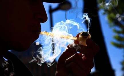 Posterga Senado hasta abril posible aprobación de ley que legaliza marihuana 