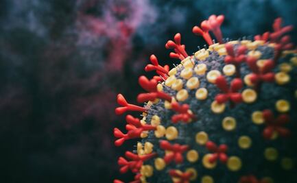 Lo que sabemos de la subvariante Eris EG.5.1 de Covid-19