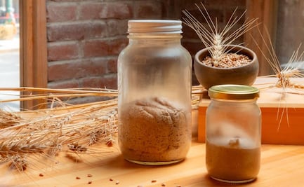 Masa madre: beneficios y mitos de este tipo de pan