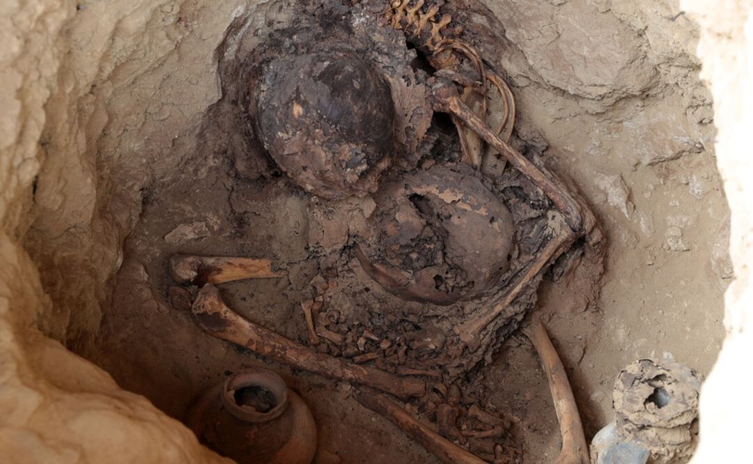 Restos óseos halladosen las excavaciónes de una de las laderas, de una de las pirámides que conforman la huaca Las Abejas. Foto: EFE/Ernesto Arias