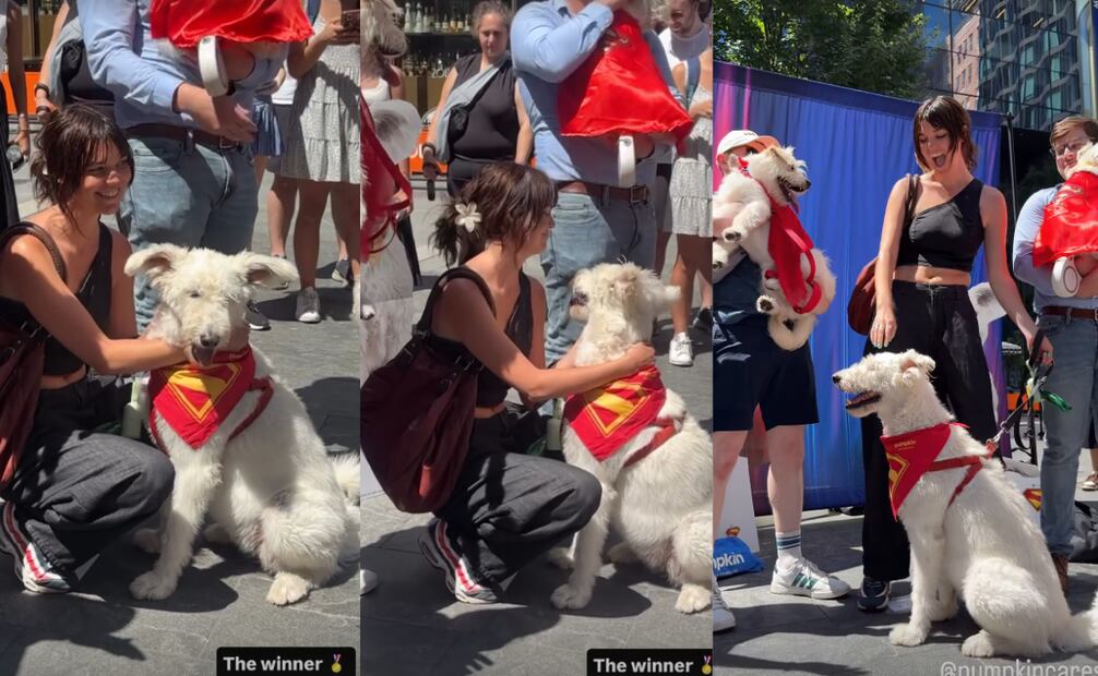 La ganadora de la competencia fue una perrita llamada 'Sophia'. Foto: Captura de pantalla 'Instagram'