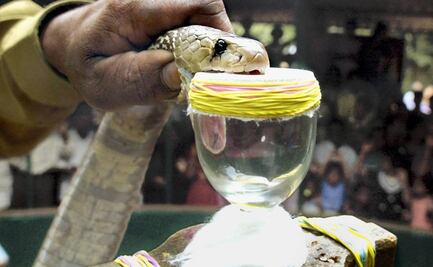 Británico sobrevive al dengue, la malaria, el Covid-19 y hasta a mordedura de cobra en India