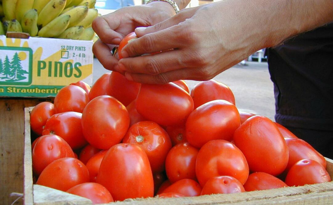 Foto: Archivo/EL UNIVERSAL