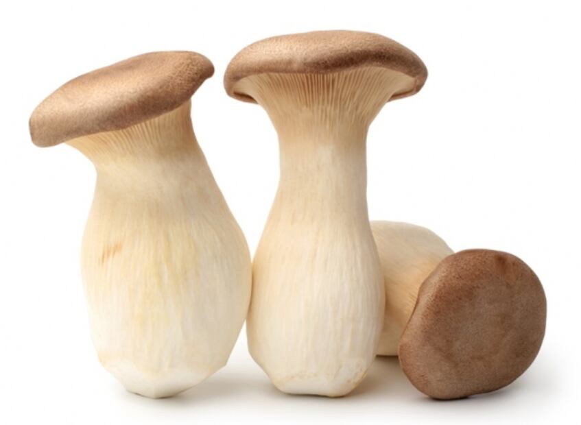 Hongos comestibles que debes de conocer