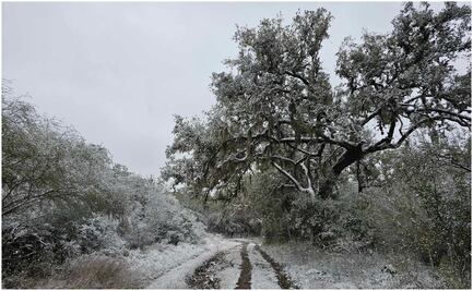 Onda gélida deja increíbles paisajes en Tamaulipas; decenas de familias llegan al Mirador Alta Cumbre para tomar fotografías