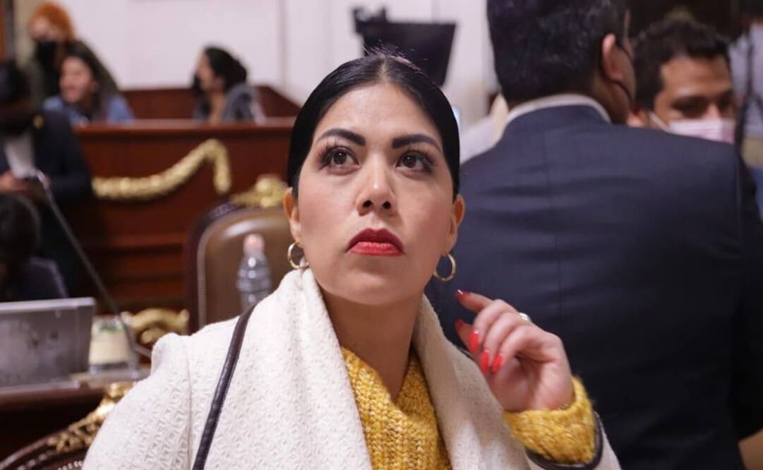 Diputada local del PAN, América Rangel Lorenza / Foto: Especial