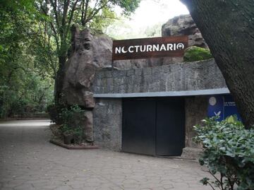 ¡Ya lo puedes visitar! Chapultepec estrena “Nocturnario”