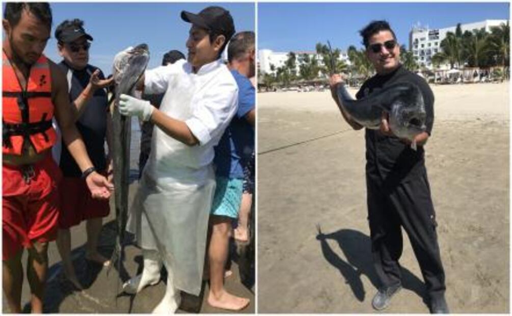 Fish Market: del mar a tu mesa en Puerto Vallarta