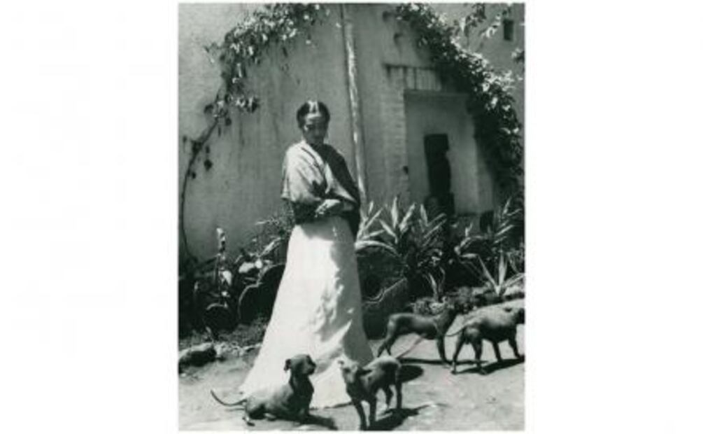 El día que murió Frida Kahlo