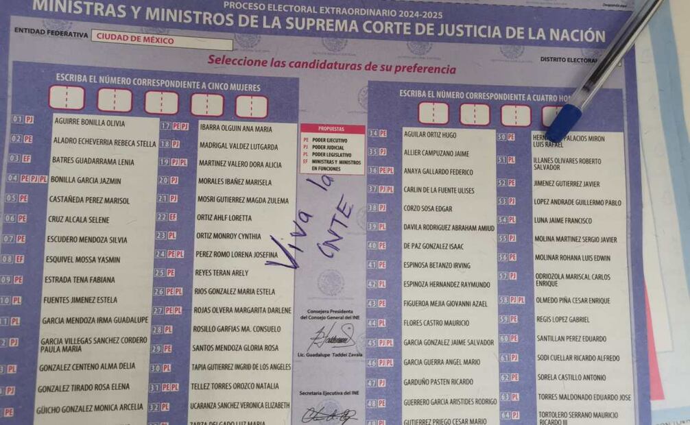 "Viva la CNTE". Foto: X @RaulRomero_mx