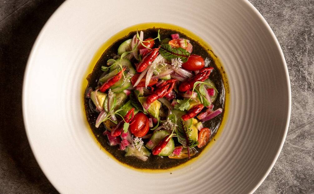 Festival de Bichos en Los Danzantes. Foto: Cortesía