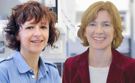 Charpentier y Doudna ganan Premio Princesa de Asturias en Investigación