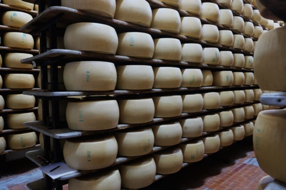 El regalo de la llanura padana: el Parmigiano Reggiano