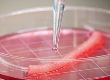 Universidad sueca despide a científico por violar ética médica