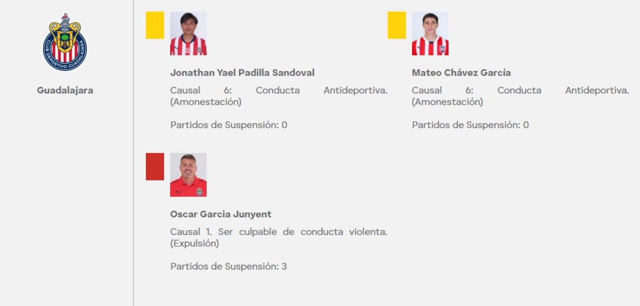 Tres partidos de suspensión para el DT de Chivas