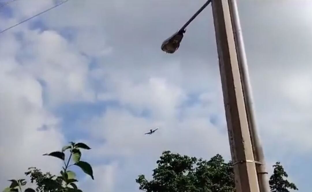 VIDEO: Comparten en redes imágenes de operativo en Badiraguato