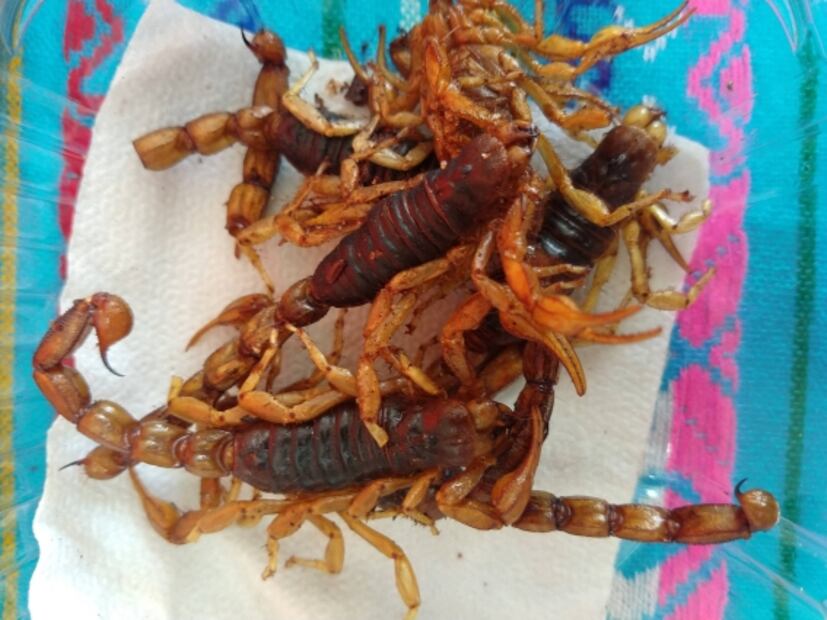 ¡Ahí vienen los escamoles y otras delicias!