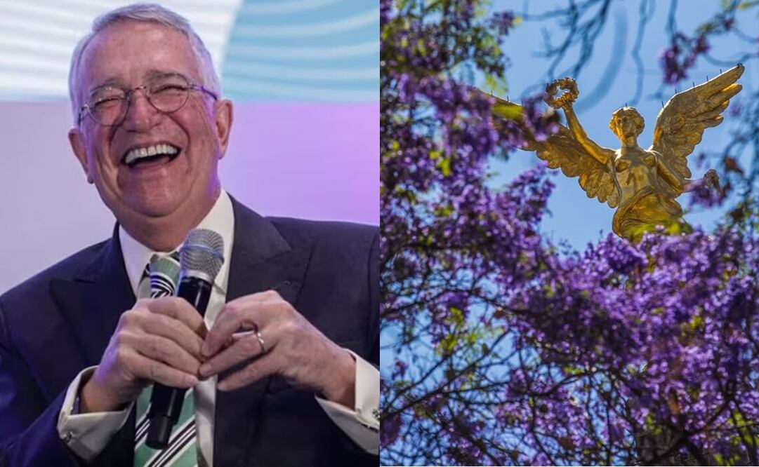 Salinas Pliego ofrece 50 mil pesos a quien capture "la mejor foto de jacarandas". Foto: Archivo / EL UNIVERSAL