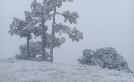 Cananea se pinta de blanco por primera nevada
