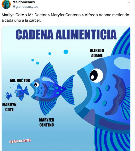 Los mejores memes que dejó el anuncio de la demanda de Alfredo Adame a Maryfer Centeno. Foto: Captura de pantalla