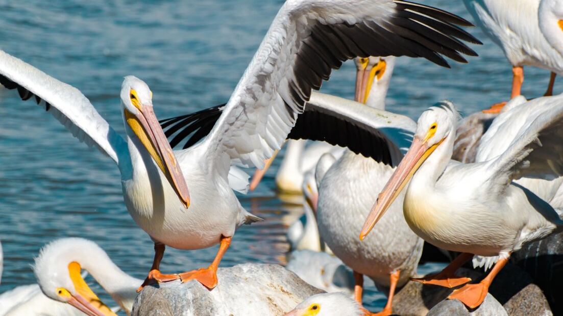 Foto: Sectur Michoacán