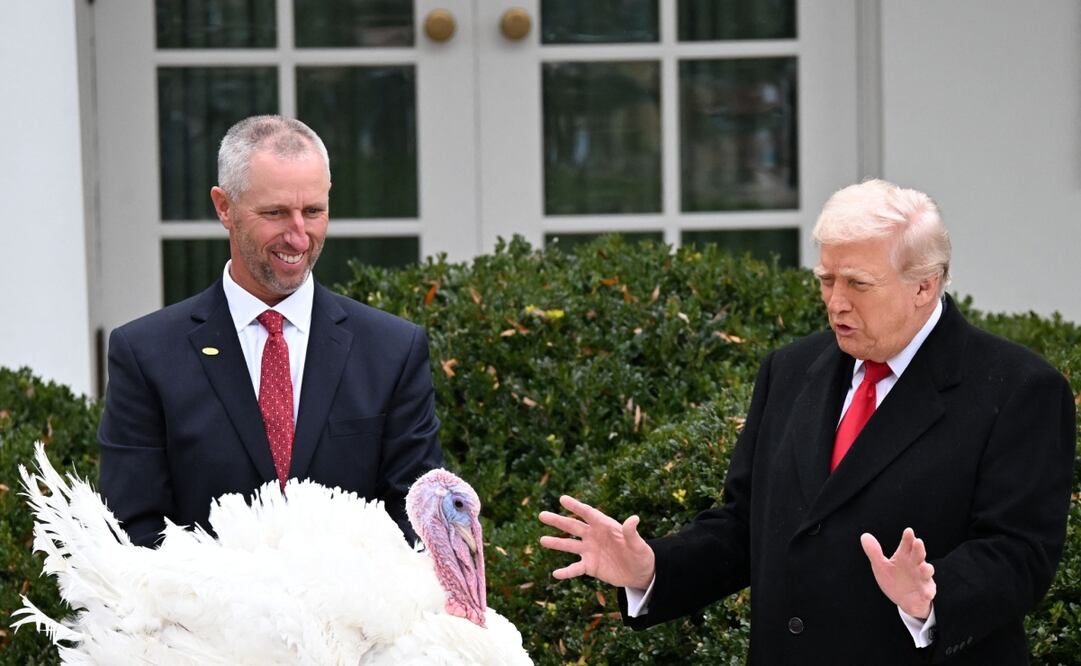 El presidente de Estados Unidos, Donald Trump, indulta a Gobble, uno de los pavos nacionales del Día de Acción de Gracias, durante la ceremonia de indulto del pavo de la Casa Blanca en el Jardín de Rosas de la Casa Blanca en Washington, DC, el 25 de noviembre de 2025. Foto: AFP