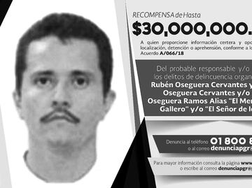 Mexico offers USD$1.6 million for information on drug lord Nemesio Oseguera