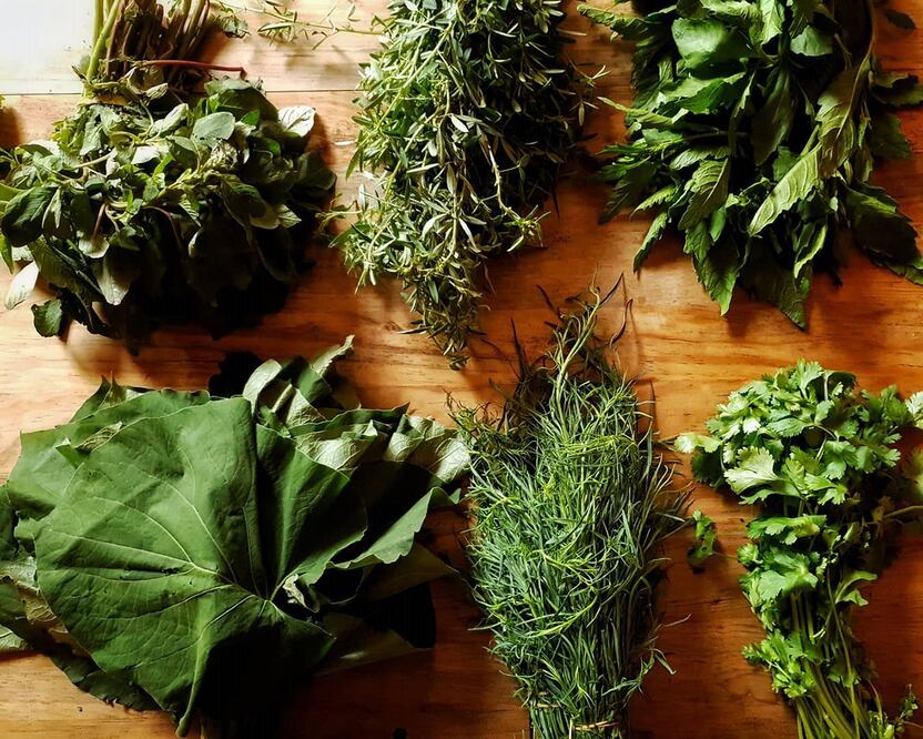 Foto: Instagram suculenta_oax