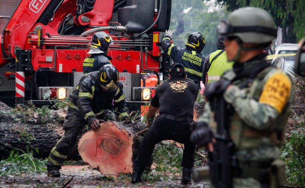 Equipo de Secretaría de Seguridad y Protección Ciudadana brindaron apoyo al equipo de Bomberos para retirar trozos del árbol. Foto: Luis Camacho/ El Universal