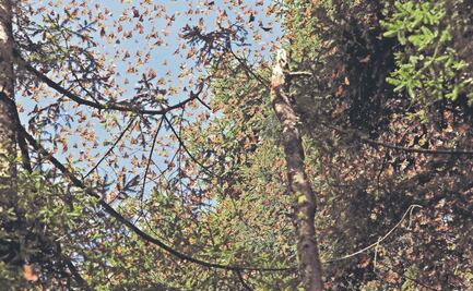 Descubre 5 maravillas naturales en el Estado de México 
