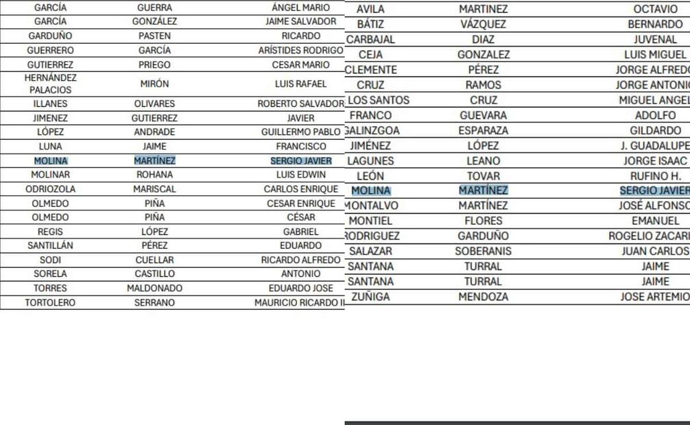 Sergio Javier Molina Martínez aparece en el documento del INE en dos listas a cargos distintos. Foto: INE