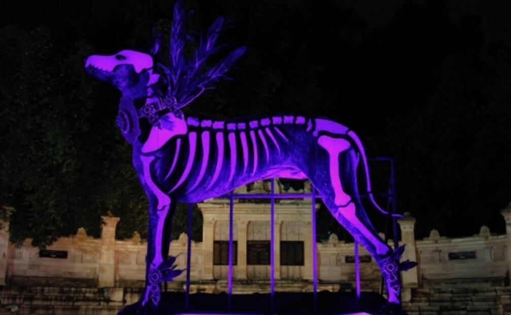Inauguran recorridos nocturnos en Bosque de Chapultepec por Día de Muertos